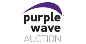 Purple Wave Auction